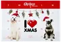 Julekalender til hunde med to hunde iført nissehuer, julepynt og nummererede låger til daglige godbidder. Perfekt til nedtælling til jul, fra Chrisco, festligt design.