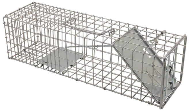 Rektangulær dyrefælde i metal med trådnet, fjederbelastet dør og lokkeplade. Til skånsom indfangning af smådyr som gnavere. Holdbar og genanvendelig.