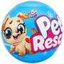 5 Surprise Pet Rescue