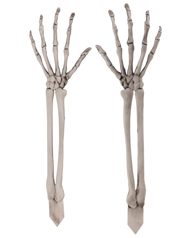 Halloween Skelett armar på spett