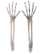 Par realistiska skelettarmar och händer i plast, detaljerad benstruktur, naturtrogna, vita med svarta skuggor. Perfekta för Halloween eller anatomiska utställningar.