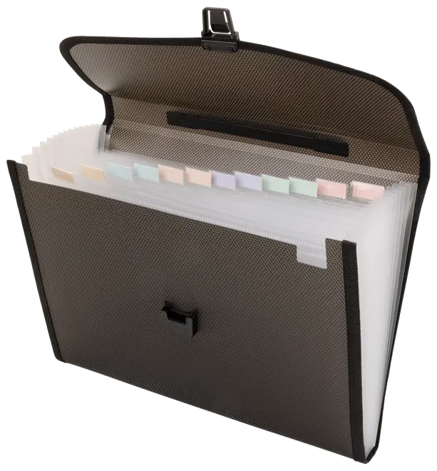 Expanderbar svart dragspelsmapp med flera märkta fack, säker snäpplåsning och slitstark texturerad yta. Perfekt för att organisera dokument eller kvitton.