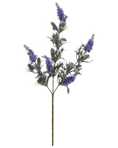 Lavendelblomst H. 68 cm -assorterede farve 