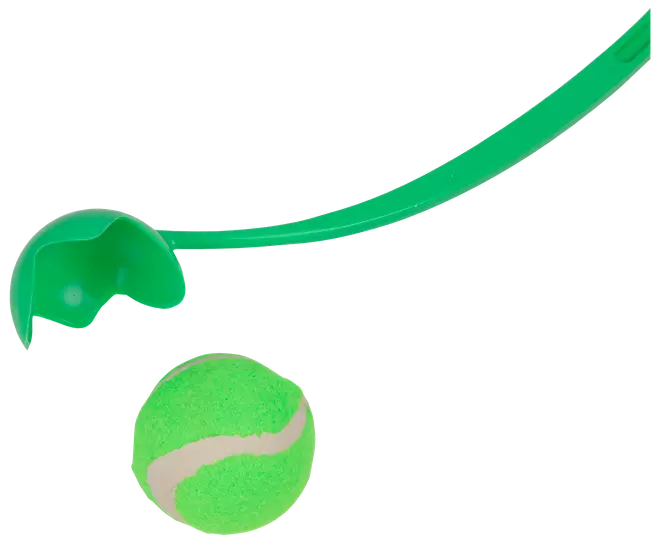 Kastarm med boll för hunden