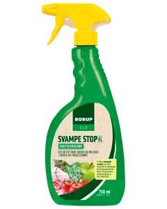 Grøn 750 ml sprayflaske med gul sprayhoved, mærket 'Borup Eco Svampe Stop'. Effektiv mod svamp og meldug på roser, frugt og grønt. Hurtigvirkende formel.
