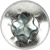 Panskrue 6,0 x 16 mm TX30 100 stk.