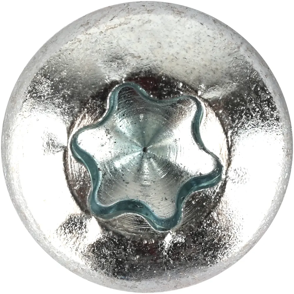 Panskrue 6,0 x 16 mm TX30 100 stk.