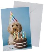 Kort med en hund iført regnbuefarvet festhat bag en chokoladekage med farverige lys og krymmel. Leveres med matchende hvid kuvert.