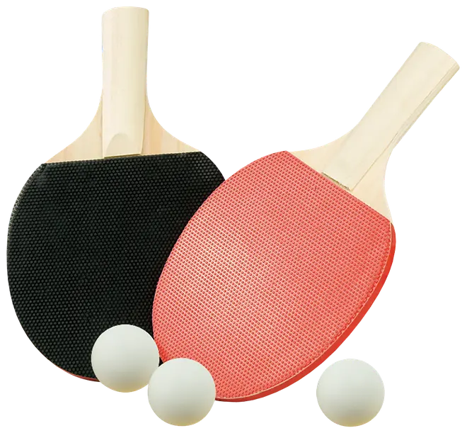 Toyhouse Bordtennis bat og bolde