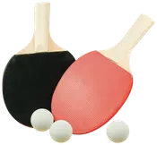 Toyhouse Bordtennis bat og bolde