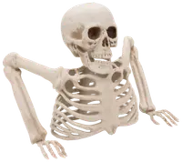 Halloween Skelett