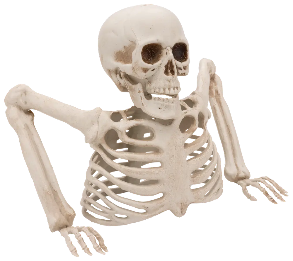 Halloween Skelett