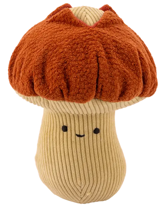 Hundelegetøj Svamp Plys