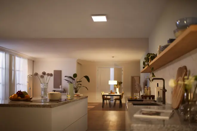 PHILIPS Loftlampe panel Scene 30x30cm 12W - hvid