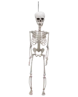 Halloween-skelett 70 cm