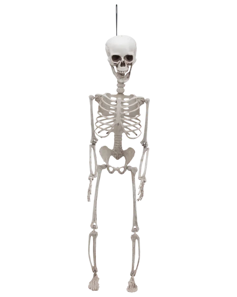 Halloween-skelett 70 cm