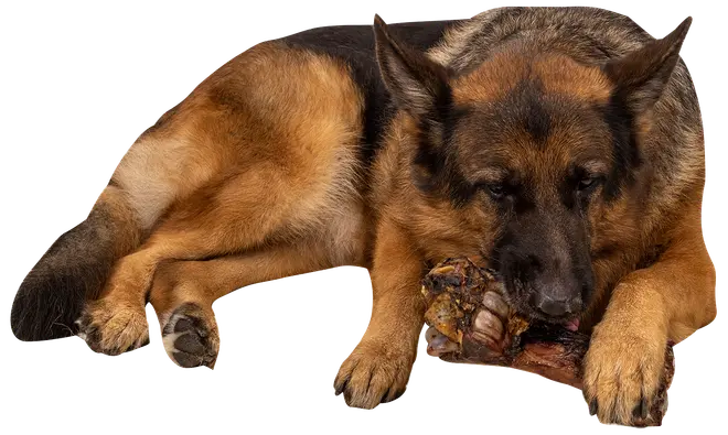 Chrisco tuggben oxkött 700g