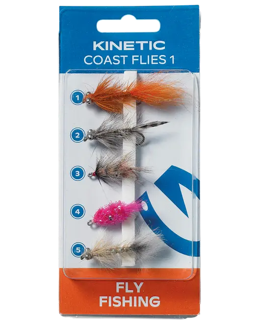 Pakke med fem forskellige fluefiskefluer i forskellige farver og stilarter, designet til kystfiskeri. Hver flue har detaljerede fjer og kroge til at tiltrække forskellige fisk.