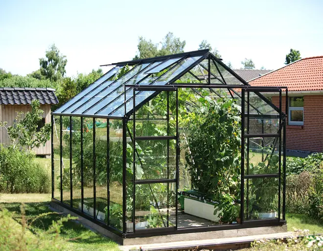 Växthus i glas med svart metallram och sadeltak. Innehåller olika gröna växter och grönsaker. Passar för hemmaträdgård och odling.