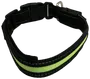 DanPet LED-halsbånd str. M