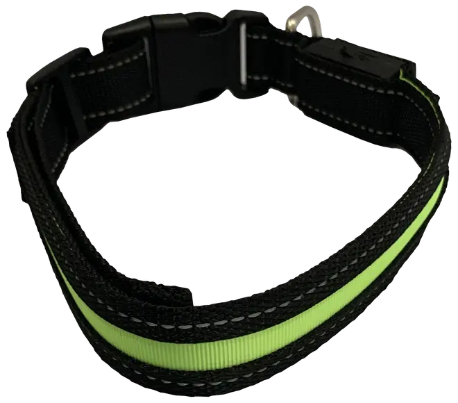 DanPet LED-halsbånd str. M