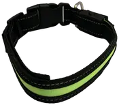 DanPet LED-halsbånd str. M