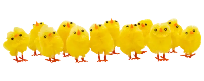 Påskkycklingar H. 3 cm 12-pack