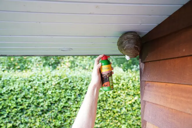 En hånd holder en dåse insektspray rettet mod et hvepsebo, der sidder under tagudhænget på et hus, til skadedyrsbekæmpelse.