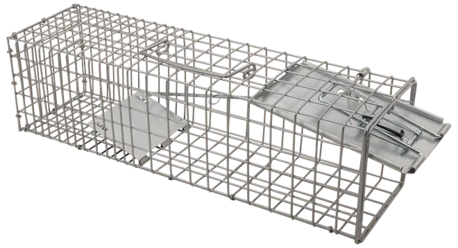 Metalfælde til levende dyr med fjederbelastet dør, rektangulær form, trådnet og lokkemadsbakke indeni. Velegnet til human indfangning af smådyr som gnavere.