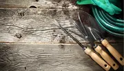 Sæt med tre haveredskaber med træhåndtag: en planteske, en lugegaffel og en kultivator, placeret på træbord med grøn haveslange og handsker ved siden af.