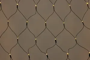 Ljusnät app 1x1 m 100 LED 