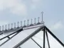 Dekorativ svart takprydnad i metall på växthus med klara polykarbonatpaneler, ger elegant viktoriansk stil och extra skydd för taknocken.