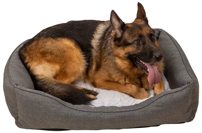 Hundsäng grå 90x69 cm