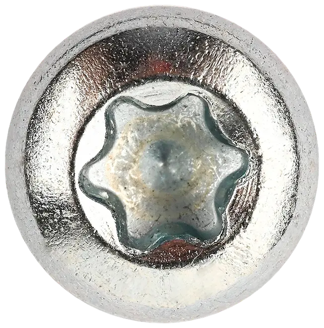 Träskruv kullrig 5,0 x 40 mm TX25 100 st.