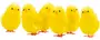 Påskkycklingar H. 5 cm 6-pack