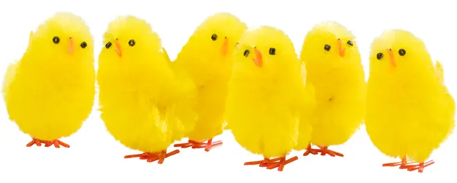 Påskkycklingar H. 5 cm 6-pack