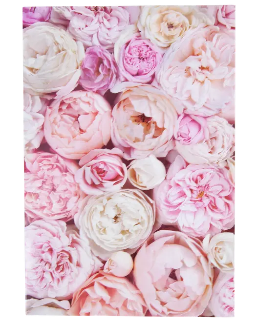 Kort med kuvert 11x17 cm - bonderoser