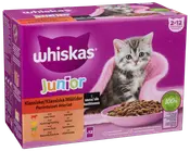 WHISKAS Ragout Junior 12 x 85 g
