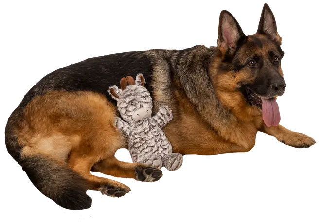 Hundleksak zebra 38 cm