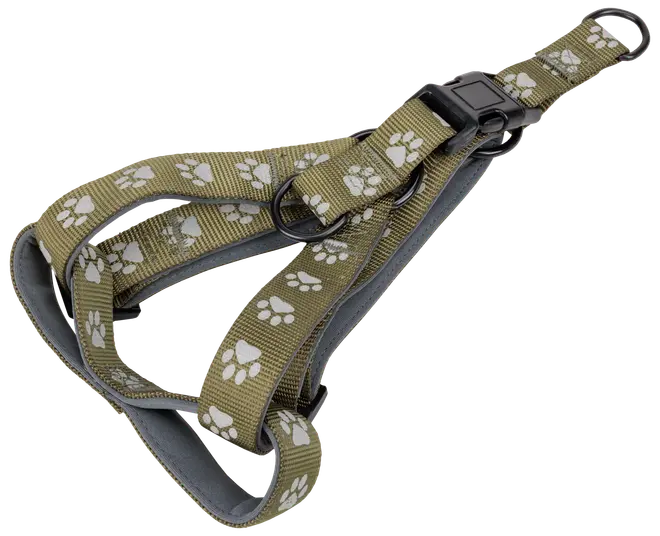 Hundesele med poter str. L