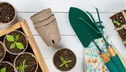 Havesæt med grøn planteskovl, kultivator, handsker og biologisk nedbrydelige spirepotter med jord og små planter, perfekt til forspiring eller udplantning.