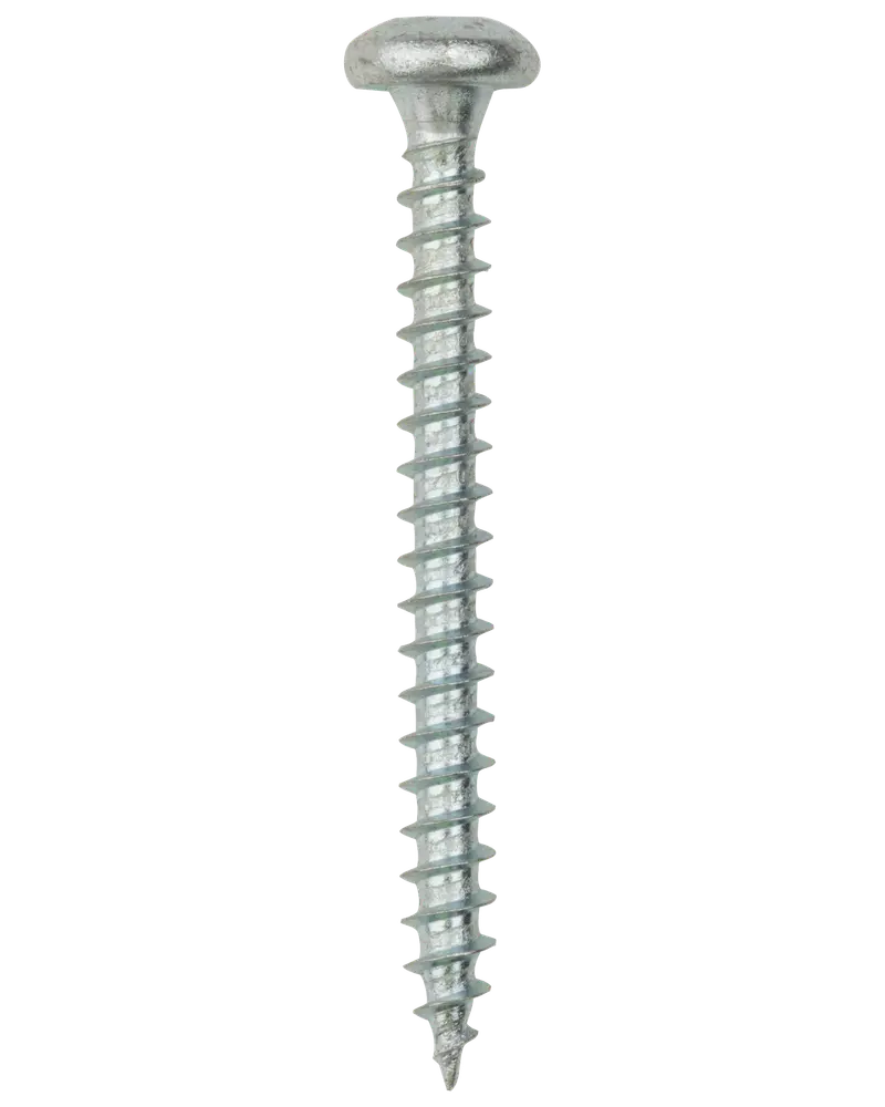 Panskrue 5,0 x 50 mm TX25 50 stk. 