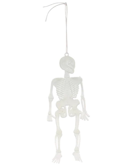 Hvid hængende skeletdekoration med krog og snor, med fuld krop af knogler og bevægelige lemmer.