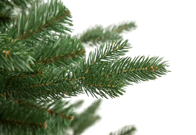 Kunstig fyrregrens med tætte, realistiske grønne nåle og brune stængler. Perfekt til juledekoration eller som juletræ. Nærbillede mod hvid baggrund.