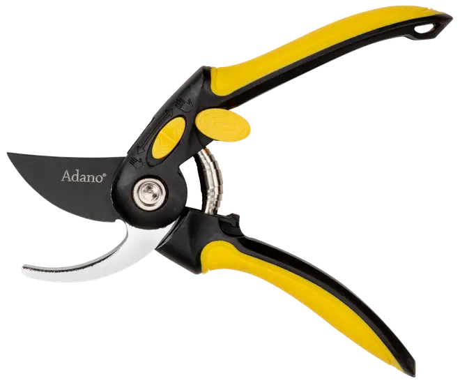 Beskærersaks med sideskær