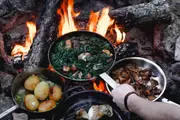 Forskellige retter tilberedt over bål: stegte grøntsager med pølse, ristede kartofler med urter, svampe og grillet fisk, alt i separate pander over åben ild.