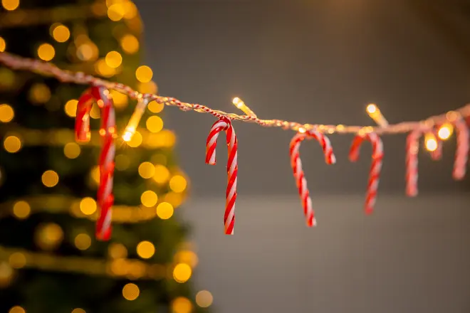 Rød- og hvidstribede sukkerstokke hænger fra en snor med små lys, sløret juletræ og gyldne lys i baggrunden, ideel til juledekoration.