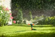 Roterende plænesprinkler med flere dyser, tilsluttet en haveslange, fordeler vand jævnt over græsplænen. Perfekt til vanding af haver. Fremstillet af holdbar plast og metal.