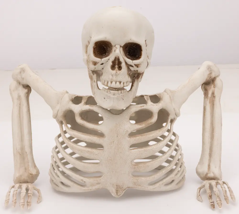 Halloween Skelett
