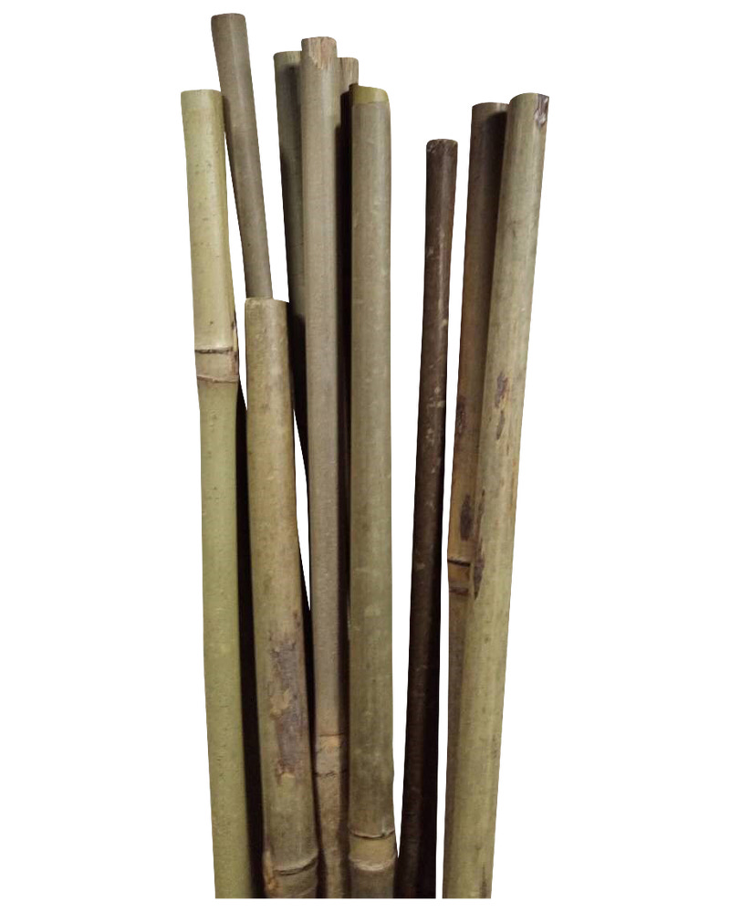 Blompinne bambu 150 cm 4-pack